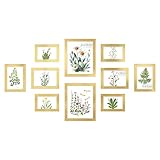 SONGMICS Bilderrahmen 10er Set, für 2 Fotos in 20 x 25 cm, 4 Fotos in 13 x 18 cm, 4 Fotos in 10 x 15 cm, Kunststoffscheibe, MDF, helles Gold RPF310A01
