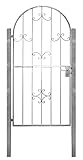 Gartentor Komplett Set Metalltor Gartentr Pforte Hoftür inkl Pfosten Zylinder (Saturn)
