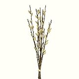 creativ home Künstlicher WEIDENKÄTZCHEN Bund ca 42 cm. Palmkätzchen -Zweige.