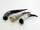 Brillibrum 1 B-Ware Kuhhorn 15-50 cm Kuhhörner Rinderhörner Stierhörner Poliert Dekoration Länge Stier Horn Trophäe basteln dekorieren schmücken, Größe: 21-30 cm