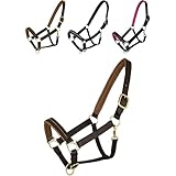 Marengos - Halfter Diamond aus Leder | Halfter für Pferde | Pferdehalfter mit farbig unterlegtem Nasenriemen & Genickstück | edles Lederhalfter | Pferde Zubehör in Braun/Gold | Vollblut