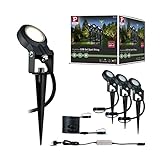 Paulmann 93696 Plug & Shine Erdspieß Sting A++ - Gartenspots Basisset mit 3000 K Warmweiß - Außenbeleuchtung IP67 Wasserdicht 3x6 Watt dimmbar