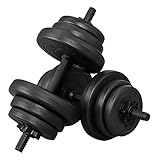 ArtSport 2er Hantelset 20kg - Kurzhantel Set mit 2 Kurzhanteln, 12 Gewichte / Hantelscheiben und Sternverschlüsse| Krafttraining Kurzhantelset Hantel