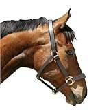 Kerbl Halfter Eco Vollblut, Leder Braun, 32266