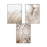 SWECOMZE 3er Premium Poster Set, Stilvolle Wandbilder, Boho Beige Natur Strand Pampasgras Kunstposter OHNE Rahmen, Print Bilder Wandposter Home Deko (Stil C,40 x 60 cm)