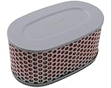HIFLOFILTRO Luftfilter kompatibel für Honda VT 750 C Shadow W RC44 1998 45 PS, 33 kw, Honda VT 750 DC Black Widow 1 RC48 2000-2001 45, VT 750 C2 Shadow Aero V RC44 1997 45 PS, 33