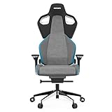 RECARO Exo Platinum Gaming Stuhl & Bürostuhl Ergonomisch [TÜV-Zertifiziert] | Made in Germany | Lordosenstütze, Aluminium-Rahmen, Anti Submarining, Handräder für stufenlose Einstellung, Sky