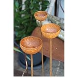 Bornhöft Regenfänger 3er Gartenstecker Rost Insektentränke Metall Gartendeko Edelrost Edelrostoptik rostiger Beetstecker Topfstecker