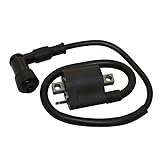 cyclingcolors Zündspule motorrad moped roller mofa kompatibel mit maxiscooter yamaha 125 majesty cygnus mbk skyliner flame