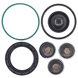 Doo Engy Hochdruckpumpe Benzinpumpe Einspritzpumpe Membranen Reparatursatz für Vectra C Signum Astra H Zafira B 2.2 DGi Direct C5 406 2.0 HPI