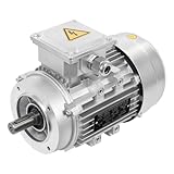Elektromotor Asynchronmotor Drehstrom ür Maschinen Industriemotor Kupfer Effizient IP55 für Werkzeuge Kühlgeräte und Maschinen (750W 19mm)