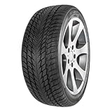 FORTUNA - 235/60 R16 TL 100H WINTER SUV2 M+S 3PMSF - Winterreifen