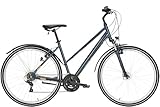 Pegasus Avanti Sport 18 28 Zoll Trapez Trekkingbike 18-Gang Kettenschaltung Graphit