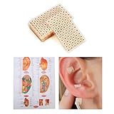 600 Stück Ohr Samen Akupunktur,Ohr Presse Samen Akupunktur,Ohrakupunkturpunkt-Aufklebern,Vaccaria Gips Bean Massagee,Condition Ohr Samen Akupressur,Mit Chart Of The Ear Reflective Zones Therapy,Kiuiom