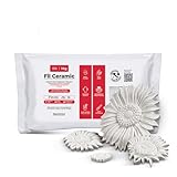 Reschimica Ungiftiges Gipspulver zum Gießen, geruchloser Keramikgips, Modelliergips, Gießpulver weiß für Hobbygebrauch und kreative Projekte, Weiß, DIY (Weiß, 1 kg)