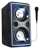 BLAUPUNKT PS 2000 Mobile PA Sound Anlage mit Akku & Lichteffekten – Bluetooth Soundsystem mit Equalizer & Radio inkl. Mikrofon (MP3, USB, AUX, 2 x 25 Watt RMS)