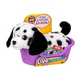 Little Live Pets My Really Real Puppy Minis – Pepper der Dalmatiner, interaktiver Puppy mit 20+ Geräuschen und Reaktionen, inklusive Korb zum Präsentieren, niedliches Geschenk für Kinder (11 cm groß)