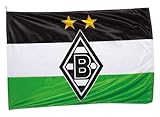 Borussia Mönchengladbach Hiss-Fahne "Logo" | Offizieller Fanartikel Fohlenshop | Gladbach Vereinsfahne Maße 100 x 150 cm Flagge | Fussball Vereinsfahne