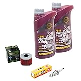 Wartungspaket Öl 2L + Ölfilter + Zündkerze für Hon da NX 650 Dominator NX650 RD02 RD08 Baujahr 1988-2000