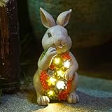 Yeomoo Solar Kaninchen Figuren Gartendeko für Draußen,Hase mit Sukkulenten Solarlampe Deko Bunny Figur Dekoration Zimmer Garten Lustig Geschenke für Frauen Kinder Balkon Terrasse Feengarten 20CM