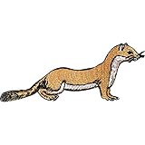 Bestickter Aufnäher/Aufbügler mit Wiesel/Frettchen zum Aufnähen/Aufbügeln auf Kleidung, Jacken, Jeans oder Taschen