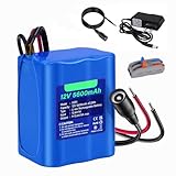 CITYORK 12V DC 5600mAh wiederaufladbarer Lithium-Ionen Akku für CCTV-Kameras, Camcorder, MP3-Player, LED-Streifenlichter und mehr