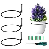 Liwein 3 Stück Blumenampel Halterung 12.7cm Blumentopfhalter Wand Ring Deko Garten Vintage Haken Für Hängepflanze Wandmontage Pflanzen Pflanzenhalter für Haus Garten Balkon Schwarz