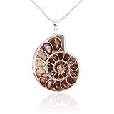 BOBEINI Natürlicher Ammonit Fossil Anhänger Schmuck Ton Silber Ammonit Fossil Stein umwickelt Anhänger Halskette Modeschmuck, Silber
