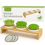 Große Kressebank 42cm mit 3 Kresse Anzuchtschalen für Kressesamen, Sprossen & Microgreens – Sprossen Anzuchtset mit Keimschalen, 3 Anzuchttöpfe für Keimlinge – 3 x Keimschale mit Kressesieb