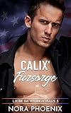 Calix' Fürsorge (Liebe im Weißen Haus 3)