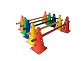 LA-24 5er Set Steckhürden 23 cm, Kegelhürden für Agility in 5 Farben (Kompakt)