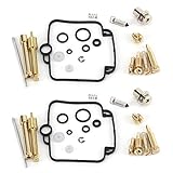 Motorradvergaser-Kit, 2 Sätze Universal-Vergaser-Reparatursatz Vergaser-Überholungswerkzeug Passend für F650 GS500E