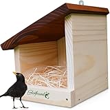 ERDENFREUND® Amsel Nistkasten halboffen extra für Freibrüter/Halbhöhlenbrüter Nistkasten Amsel artgerechte Halbhöhle langlebig aus 2 cm FSC-Massivholz (Amselhaus modern artgerecht)