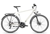 2R Manufaktur TRS GO | Trekkingbike | 28 Zoll Herrenfahrrad | 21-Gang Schaltung | mechanische Scheibenbremse | inkl. Straßenausstattung, Farbe:warm Grey matt/Black matt, Rahmengröße:60 cm