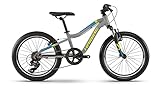Haibike SEET Greedy 20R SF Kinder Fahrrad 2021 (20 inches, DG-187 (Grau/Blau/Lime Matt))