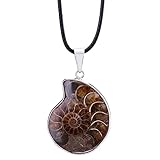 N-K PULABO Frauen natürlichen Ammoniten fossilen Anhänger Stein Halsketten für Männer Geschenke kostengünstig und langlebig schön