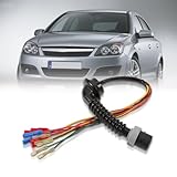 GNXfixt Kabelbaum Reparatursatz für Astra H 2004–2014 Kabelsatz Türverdrahtung Hinten links oder hinten rechts 13142399 13142400