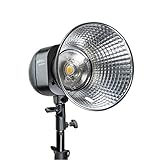 Walimex pro Newcomer 300 II Studioblitz, LED Studiolicht mit Funk, Studiolampe 300 W mit hoher Lichtleistung, Studio Blitz mit Überhitzungsschutz ideal für Fotostudio
