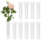 10 Stück Reagenzglas Vase, 9x2cm Blumenröhrchen Kunststoff, Wasserröhrchen für Blumen, Reagenzglas Kunststoff, orchideenröhrchen mit kappen kunststoff wiederverwendbare für Blumenläden, Restaurants