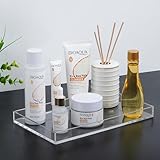 Winter Shore Rechteckiges Acryl Tablett Serviertablett - Serviertablett Kunststoff für Schminkkommode, Couchtisch, Theke - Durchsichtiges Kunststoff Tablett für Bad, Küche, Büro - Tray 24,5x15x2,2 cm