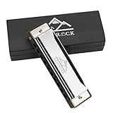 EastRock Harmonika C-Dur Harmonika mit Box 10-Loch Harmonika für Schüler, Fortgeschrittene und Anfänger (10-Loch,Silber)
