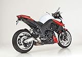 Auspuff Kawasaki Z1000 ZRT00D von 2010 bis 2013 Auspuff Shark Factory Slip-On
