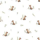 VmG-Store Jersey Stoffe Meterware zum Nähen Baumwolljersey Nähstoff Kinderstoff 140 cm breit III (Füchse Jb083)