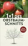1 x 1 des Obstbaumschnitts: Bild für Bild