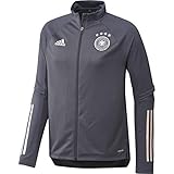 adidas Herren Jacke DFB TR JKT, Onix, S, FS7038