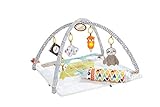Fisher-Price HBB74-5 Sinnes Baby Spieldecke, kuschelig weiche Krabbeldecke mit Sensorik Spielzeug, sechs abnehmbare Beschäftigungsspielzeuge, Babyaustattung ab der Geburt