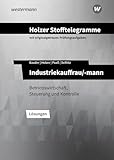 Holzer Stofftelegramme Baden-Württemberg – Industriekauffrau/-mann: Betriebswirtschaft, Steuerung und Kontrolle Lösungen
