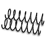 BESTPRICE 2x Fahrwerksfeder hinten links & rechts Kompatibel mit FORD FOCUS Mk2 (DA_, HCP, DP), FOCUS Mk2 Stufenheck (DB_, FCH, DH)