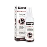 Felisept Pfotenpflege für Katzen 75g - Pfotenpflege Katze - Pfotenbalsam Katze - Schützt vor Austrocknung und Rissen - Schnell einziehend, ohne Fettfilm - Reichhaltige Pflege und Feuchtigkeit