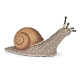 PAPO - Schnecke - Realistische Plastikfigur - 3 Jahre alt - Gartentiere - Handbemalt - Extrem detailgetreu - Langlebig und lehrreich - Kinderspielzeug - Geschenkidee